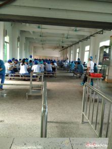 深耕十二载，专业铸就信赖 德华餐饮引领工厂食堂对外承包新风尚