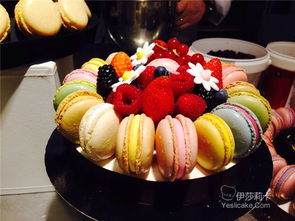 SIRHA 2015 探索里昂国际餐饮酒店食品展的创新盛宴